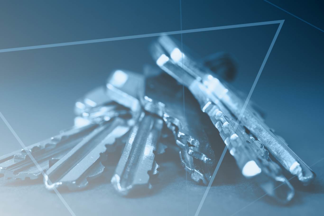 claves primarias, claves foráneas, SQL, bases de datos, desarrollo de software, aplicaciones, relaciones, integridad referencial, transformación digital, blockchain