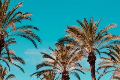 Las mejores empresas de programación en Marbella
