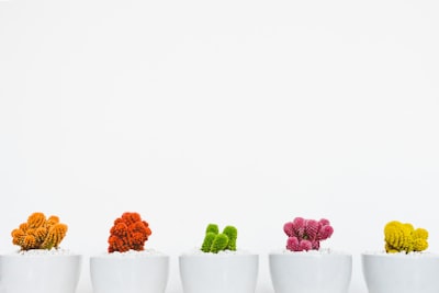 Top 3 Empresas ERP personalizados en Granada