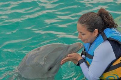 Cómo resolver atascos en Apache DolphinScheduler.