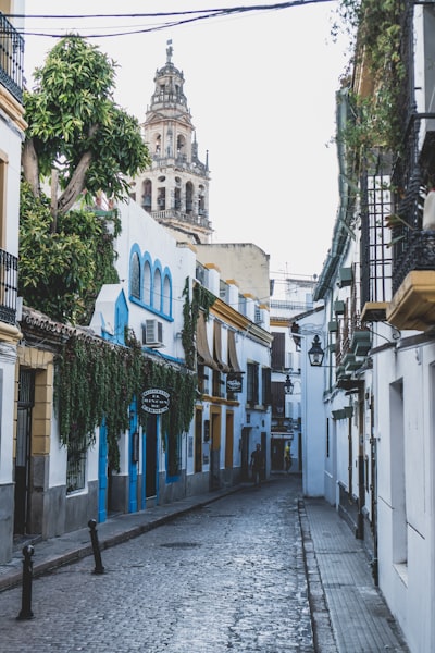 Aplicación de trazabilidad de pedidos personalizada para empresa en Córdoba