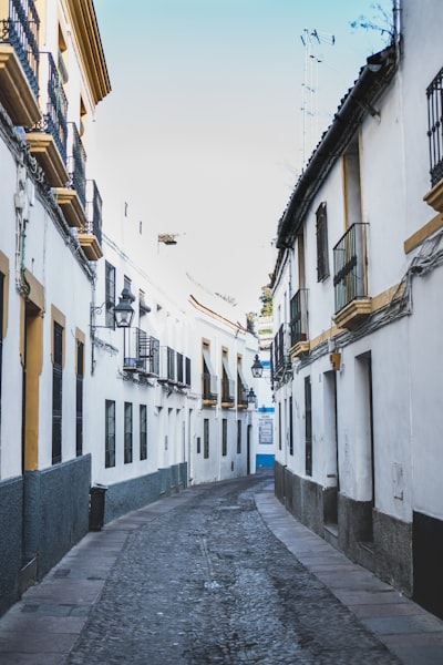 Automatización de la retención de clientes en Córdoba