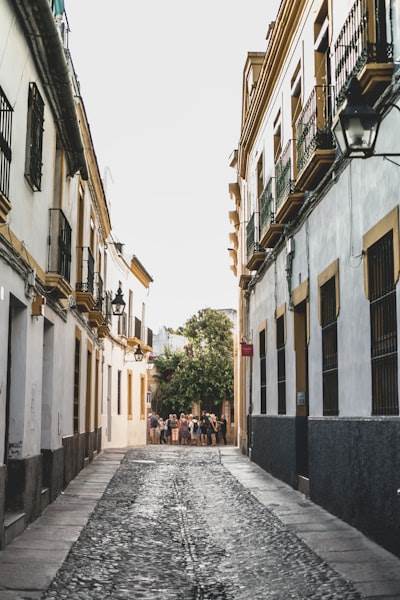 Los 5 mejores especialistas en bots de Instagram en Córdoba