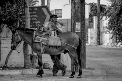 No subestimes tu antiguo enrutador: Recíclalo como caballo de batalla con conexiones por cable.