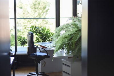 Beneficios de automatizar procesos de back office