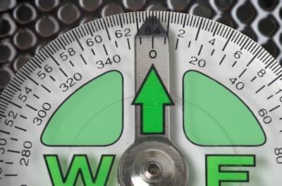 Optimized Scaling Rules in Robust Layers Using Tuned Weight Decay