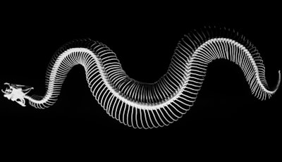 El papel del contexto temporal y la arquitectura en la decodificación EEG