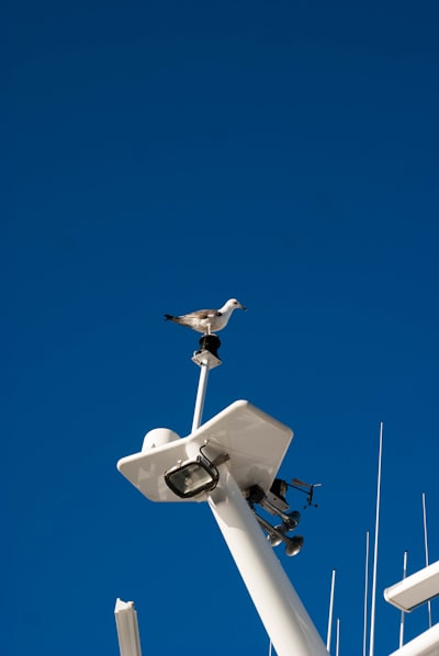 Cómo desactivar la vigilancia en videoporteros