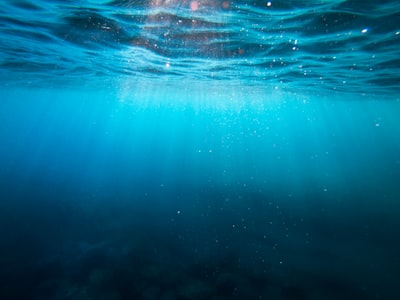 Descobreix patrons acústics submarins sense etiquetar
