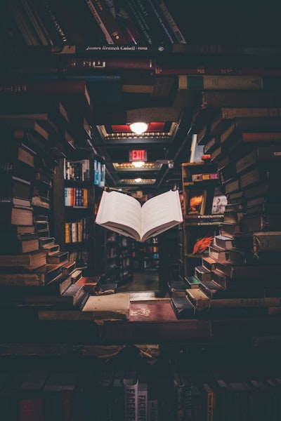 Refinamiento iterativo de múltiples aspectos para traducción literaria