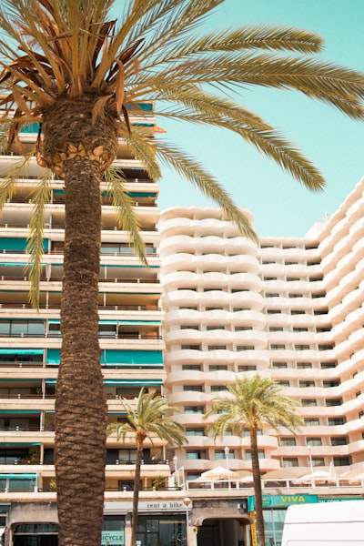 Informes automatizados de acciones en Palma