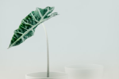 Mejores 5 empresas de ERP personalizado para manufactura en Santa Cruz de Tenerife