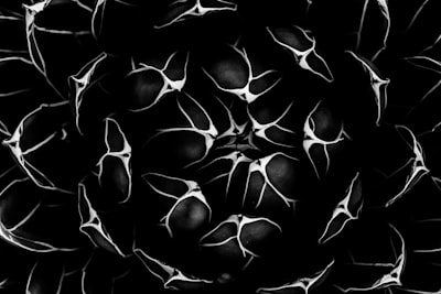 Función de activación a nivel de neurona para pre-entrenamiento de LLM