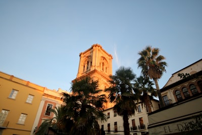Top 15 Expertos en automatizar la conciliación bancaria diaria en Granada