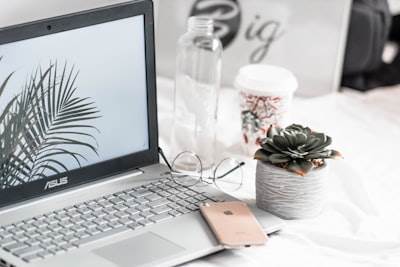 Beneficios del software web personalizado para tu negocio