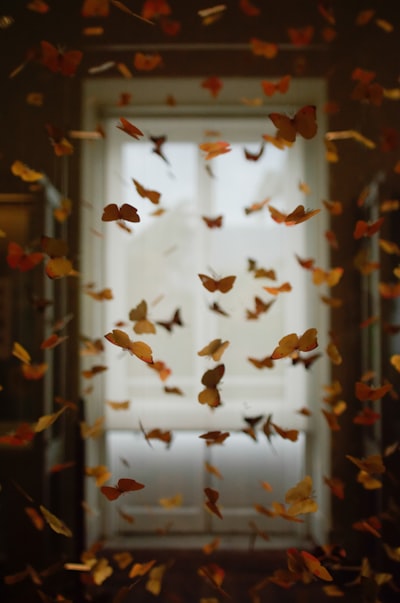 El efecto mariposa en la ciencia y la cultura