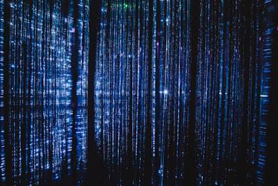 Tu información en peligro en un mundo digital