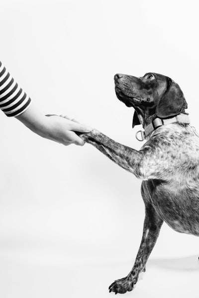 5 Estrategias de Fidelización de Clientes que Debes Saber
