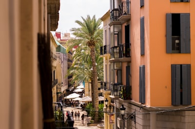Top 3 Expertos en reducir ausencias en peluquerías en Alicante