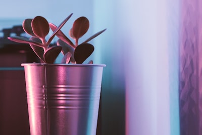 Top 10 empresas para automatizar el cultivo de clientes potenciales en Las Palmas de Gran Canaria