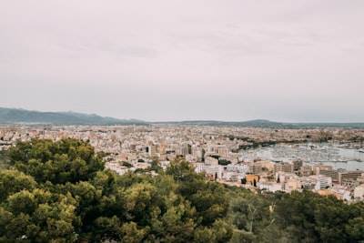 Top 15 Expertos en Desarrollo de Aplicaciones Móviles en Palma