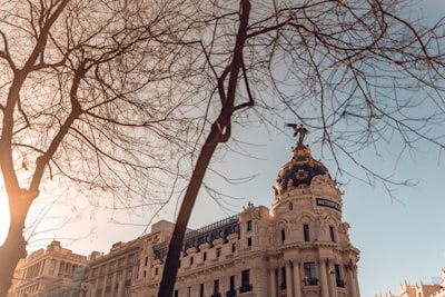 Automatización de proveedores: las mejores empresas en Madrid