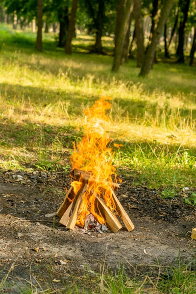 API REST Testing: Tools, Strategy, and Best Practices