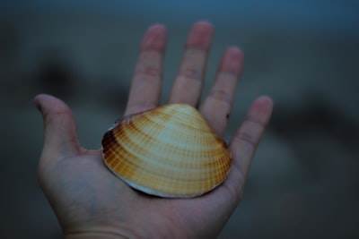 Estudio de caso: Soluciones digitales escalables para Shell