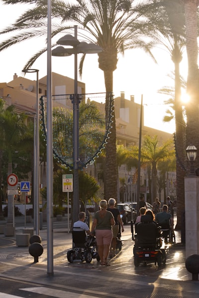 Directorio completo de socios de IA en Palma