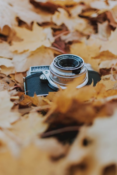 El valor de los paquetes de fotos de compromiso para tu boda