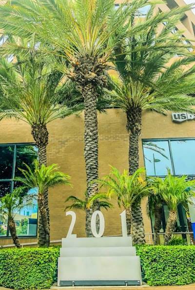 Mejores empresas de IA en Santa Cruz de Tenerife