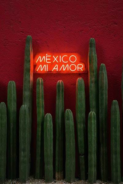 Un vistazo más cercano a la lucha contra el lavado de dinero en México