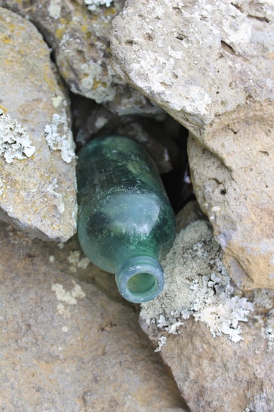 Dynamic-TreeRPO: Rompe el cuello de botella de trayectorias independientes con muestreo estructurado