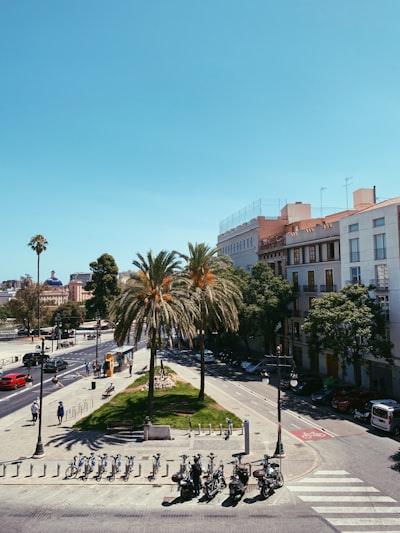Automatización de servicios de matriculación en Valencia.