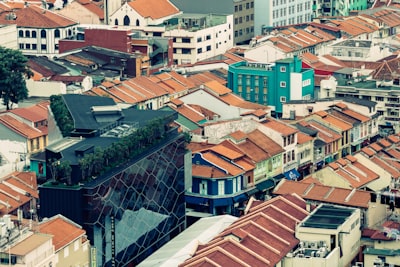 Top 15 Bot Companies in Puerto de la Cruz