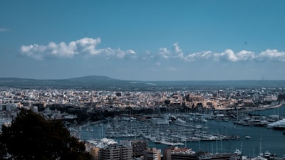Expertos en anuncios creativos de IA en Palma
