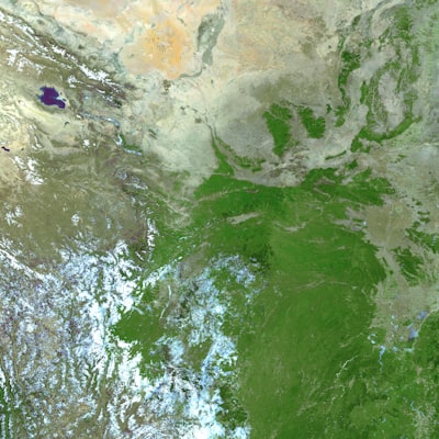 Método híbrido óptico-radar mejora detección de deforestación