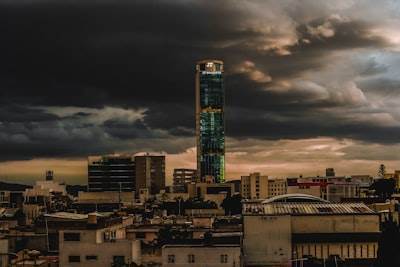Expertos en bots de whatsapp en Ciudad Real