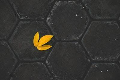 Building AI-enhanced Apps with Flutter and Firebase Logic