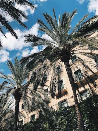 Los mejores desarrolladores de software personalizado en Palma