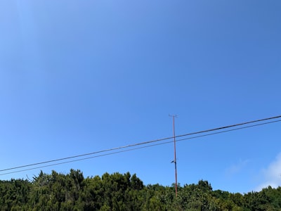 Empresa de voz AI en Tenerife