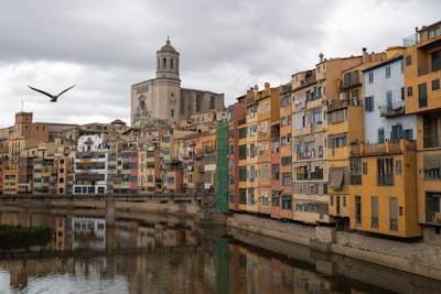 Top 20 Expertos en Inteligencia Artificial en Girona