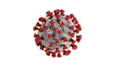 Análisis de tractabilidad Hi-C de célula única y redes neuronales gráficas