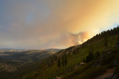 La SBA agiliza la reconstrucción para sobrevivientes de incendios forestales en California