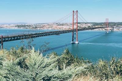 Las 15 mejores empresas de inteligencia artificial en Pontevedra