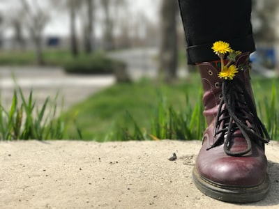 Ventajas y desventajas de usar Spring Boot