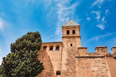 La guía para encontrar software empresarial en Alcázar de San Juan