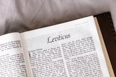Lennart Poettering, Christian Brauner lanzan nueva empresa