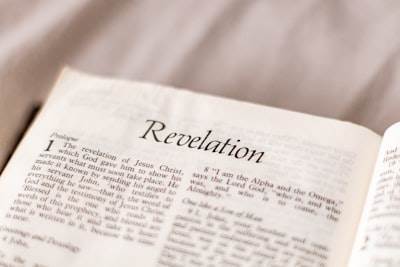 Planes de reconstrucción y revelaciones principales