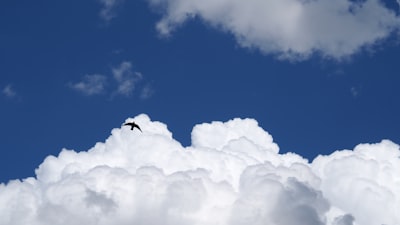 ¿Los servicios de migración a la nube reducen errores humanos?